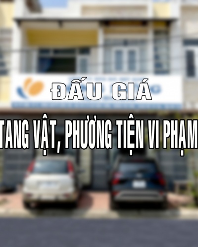 Đấu giá tài sản là tang vật, phương tiện vi phạm hành chính bị tịch thu sung quỹ nhà nước